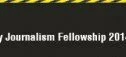 WHO ROAD SAFETY JOURNALISM FELLOWSHIP 2014